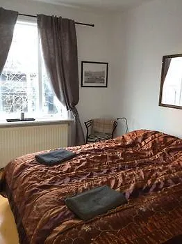 Von Reykjavik